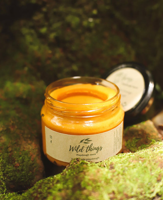Roasted Orange - Wild Things Playdough