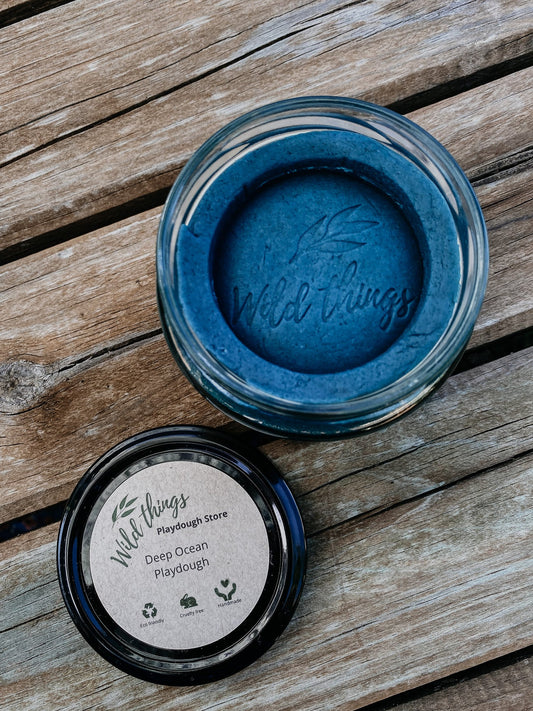 Deep Ocean - Wild Things Playdough