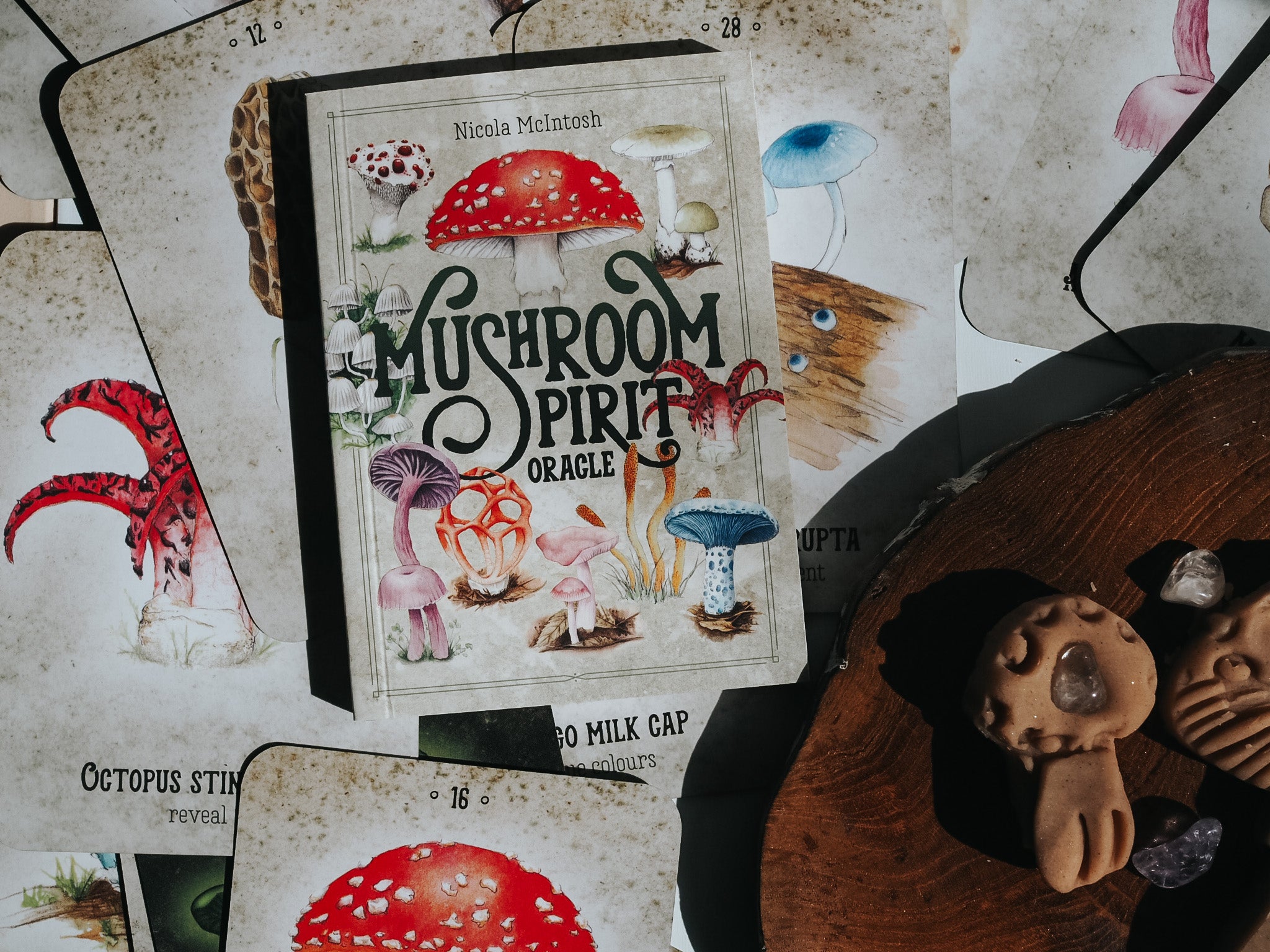 Mushroom Spirit Oracle cards