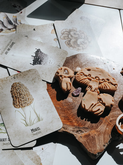 Mushroom Spirit Oracle cards