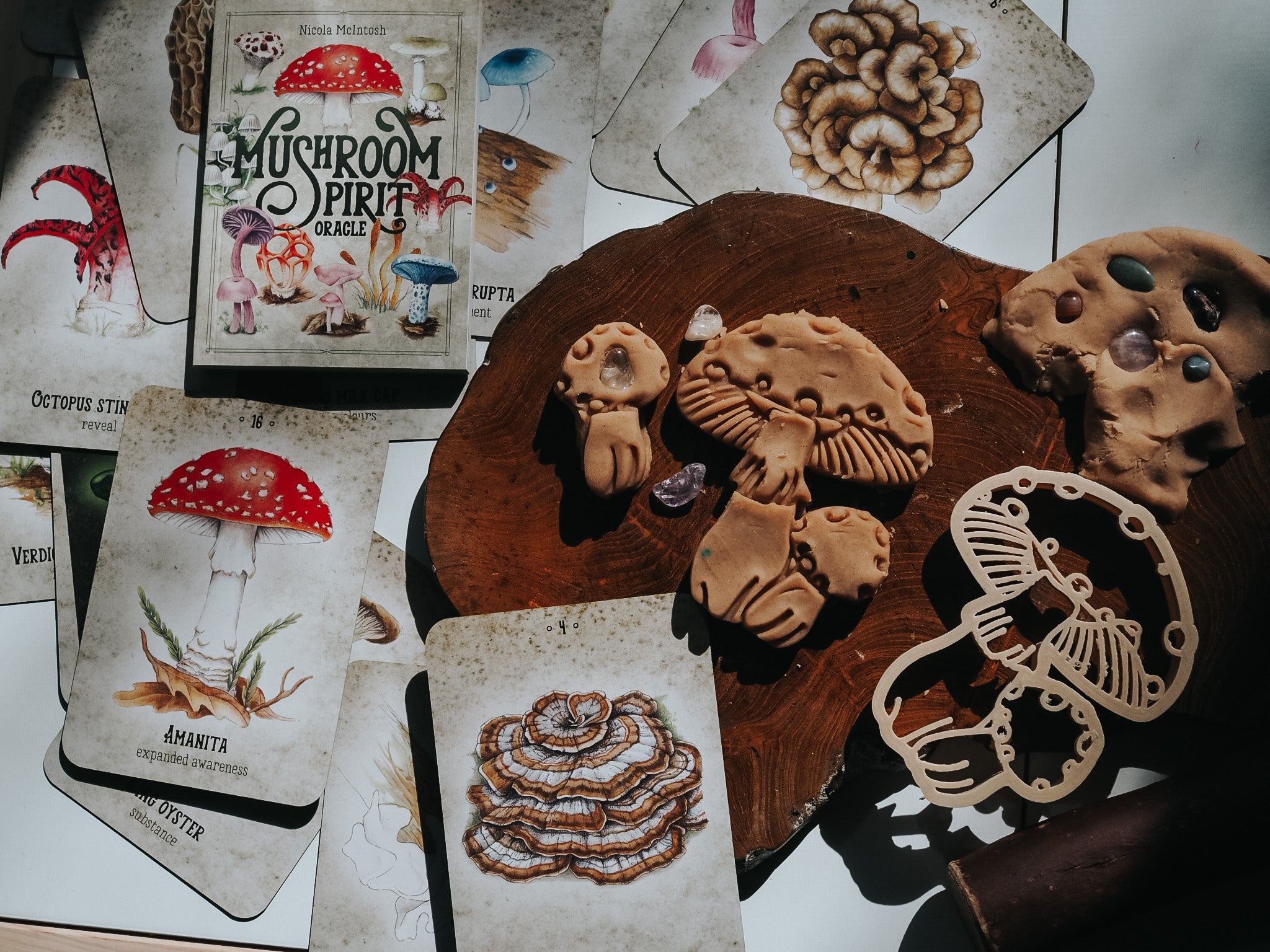 Mushroom Spirit Oracle cards