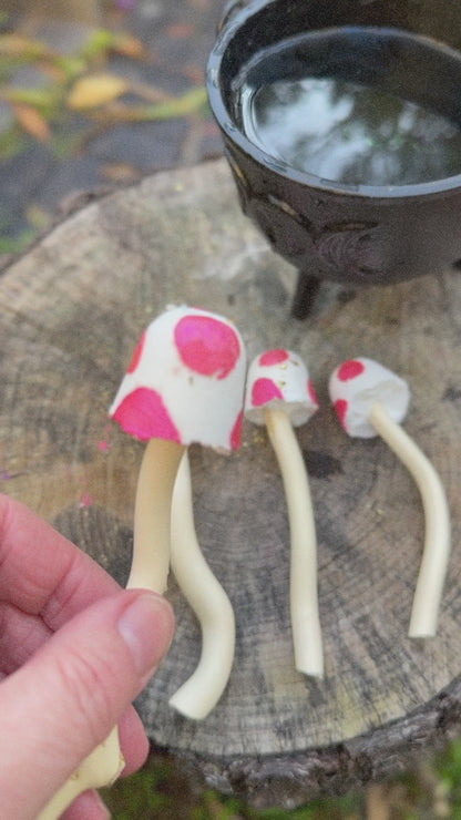 Fizzy Mushroom Wands set of 4