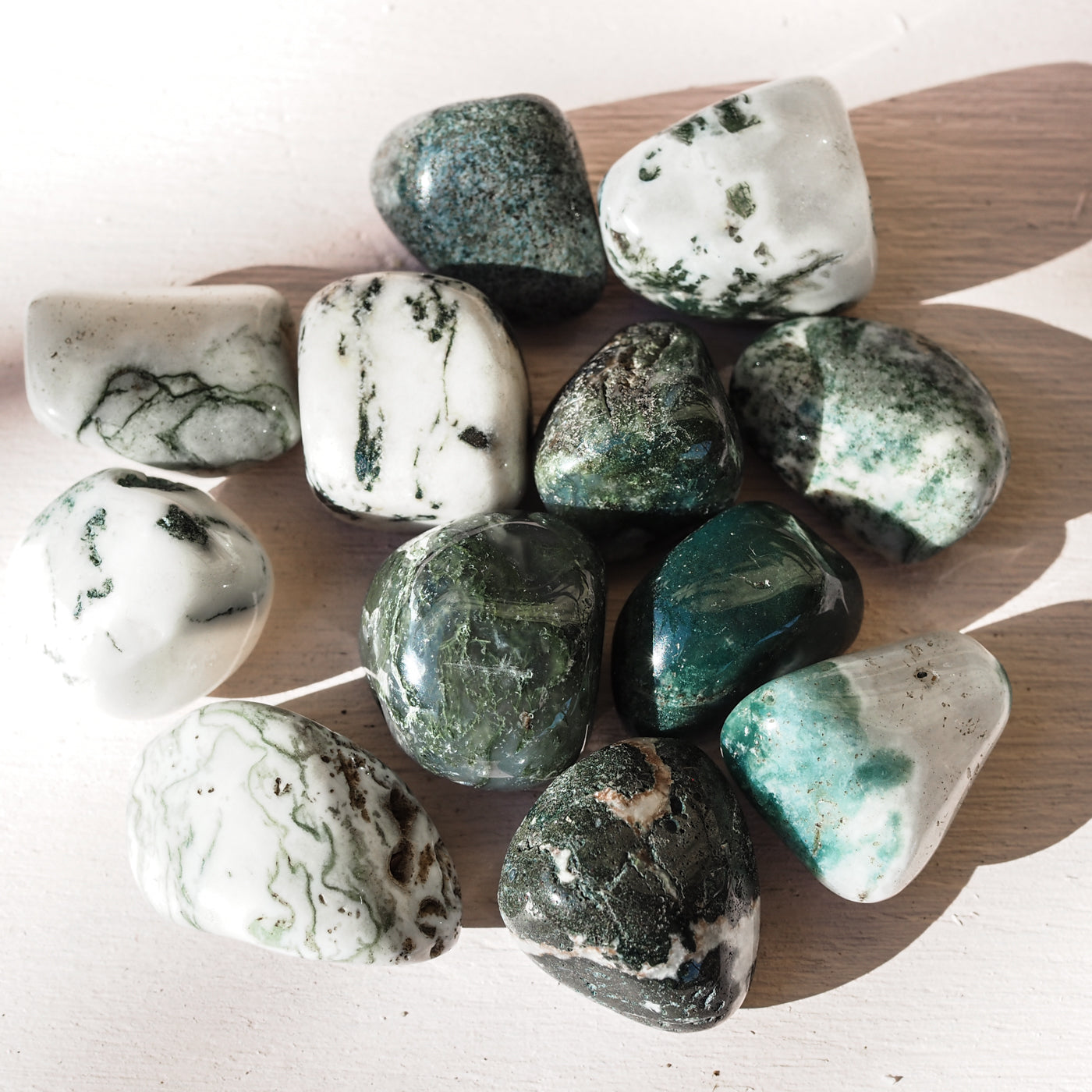 Tree Agate Medium Tumbled Stone