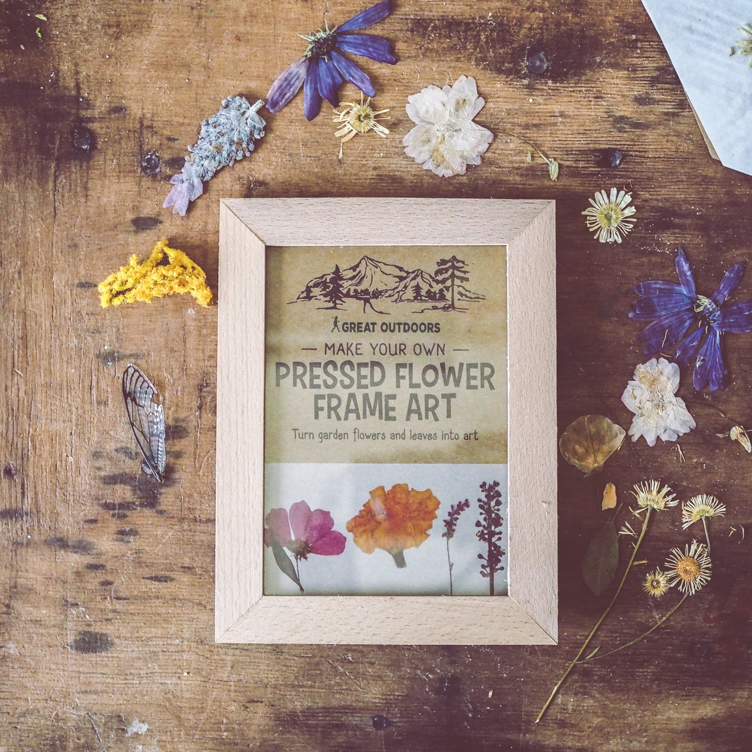 Kikkerland Flower Press Frame | Arts & Crafts - Wild Mountain Child