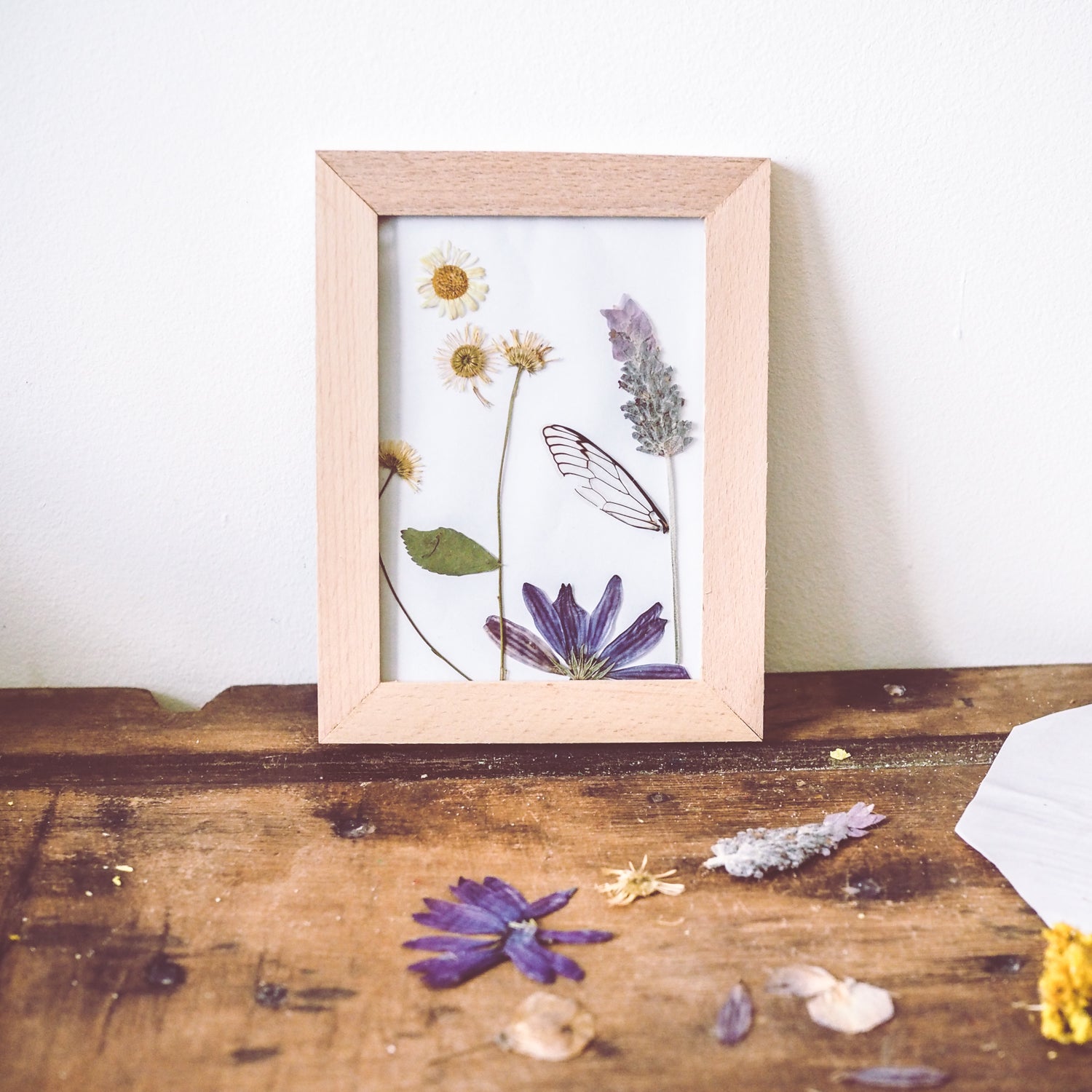 Kikkerland Flower Press Frame | Arts & Crafts - Wild Mountain Child