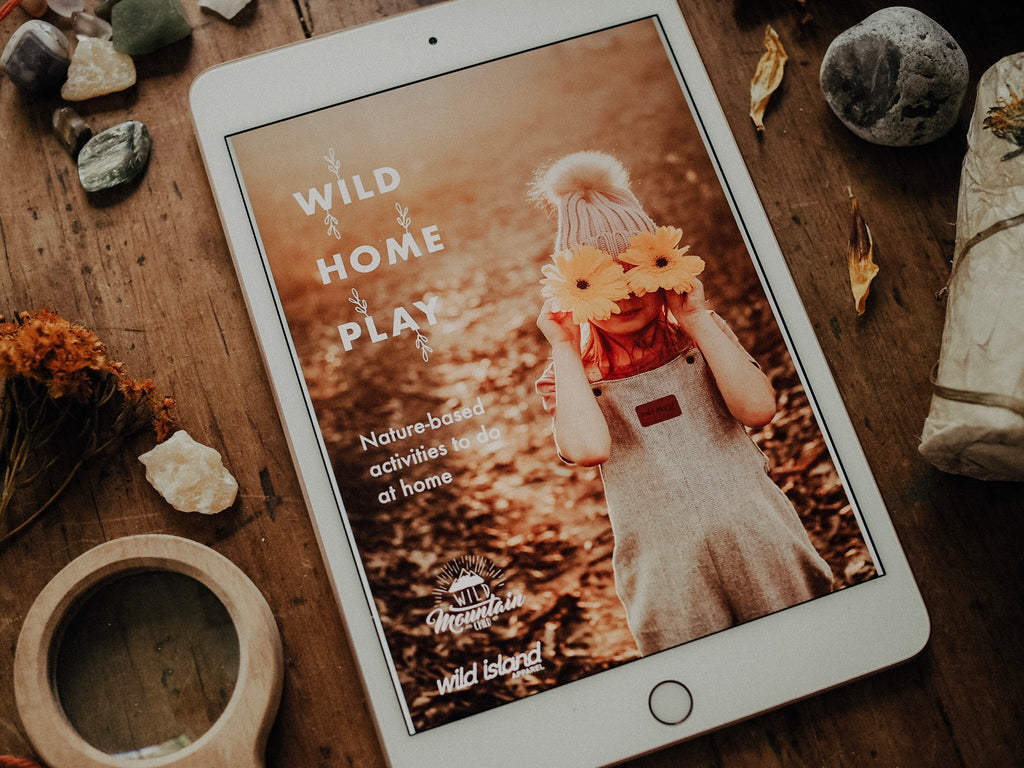 Wild Home Play - Free Ebook