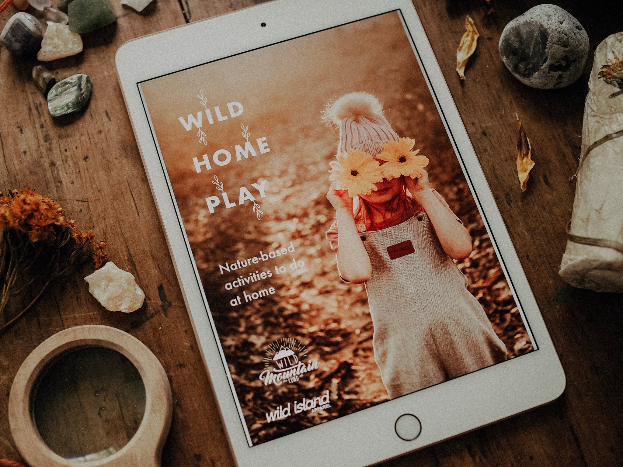 Wild Home Play - Free Ebook