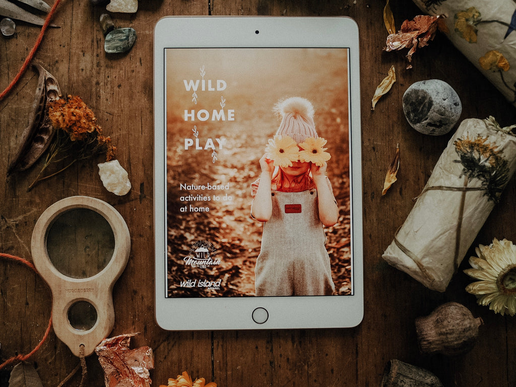 Wild Home Play - Free Ebook
