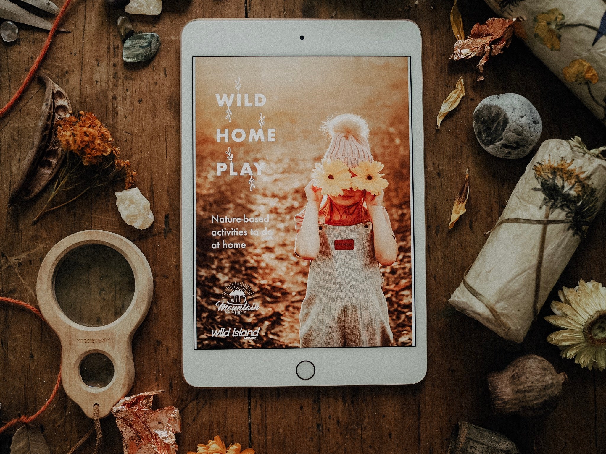 Wild Home Play - Free Ebook