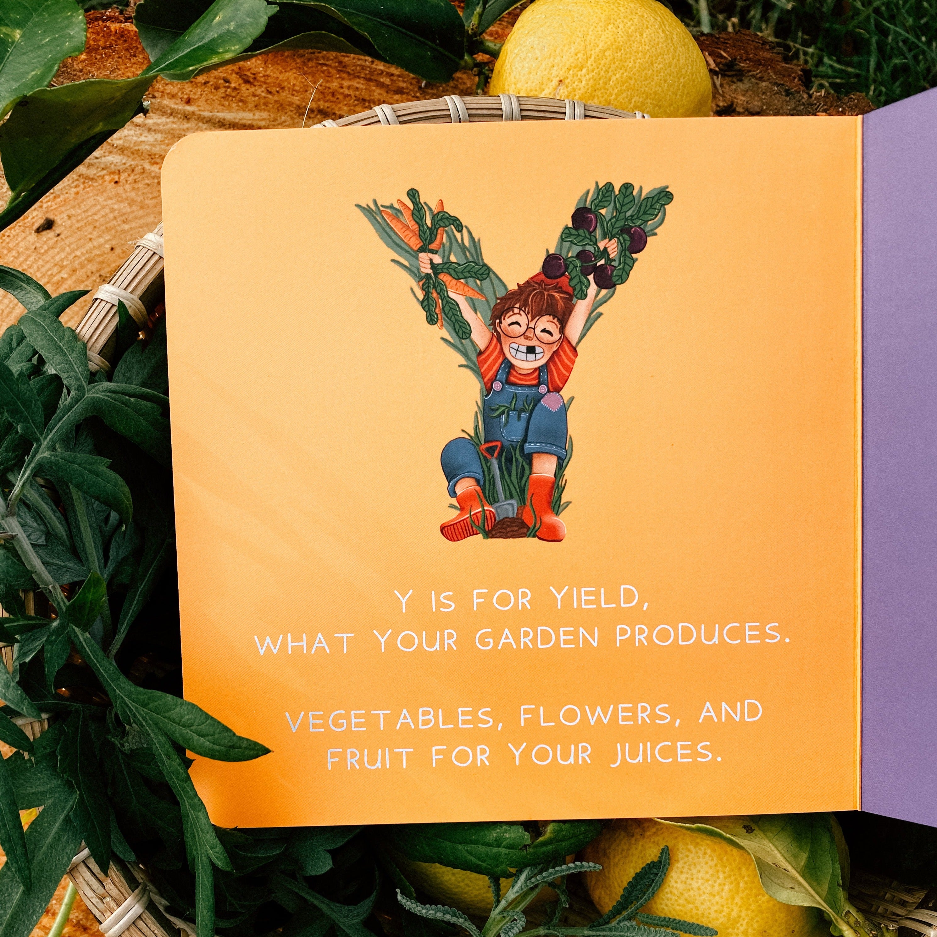 P is for Permaculture Board Book
