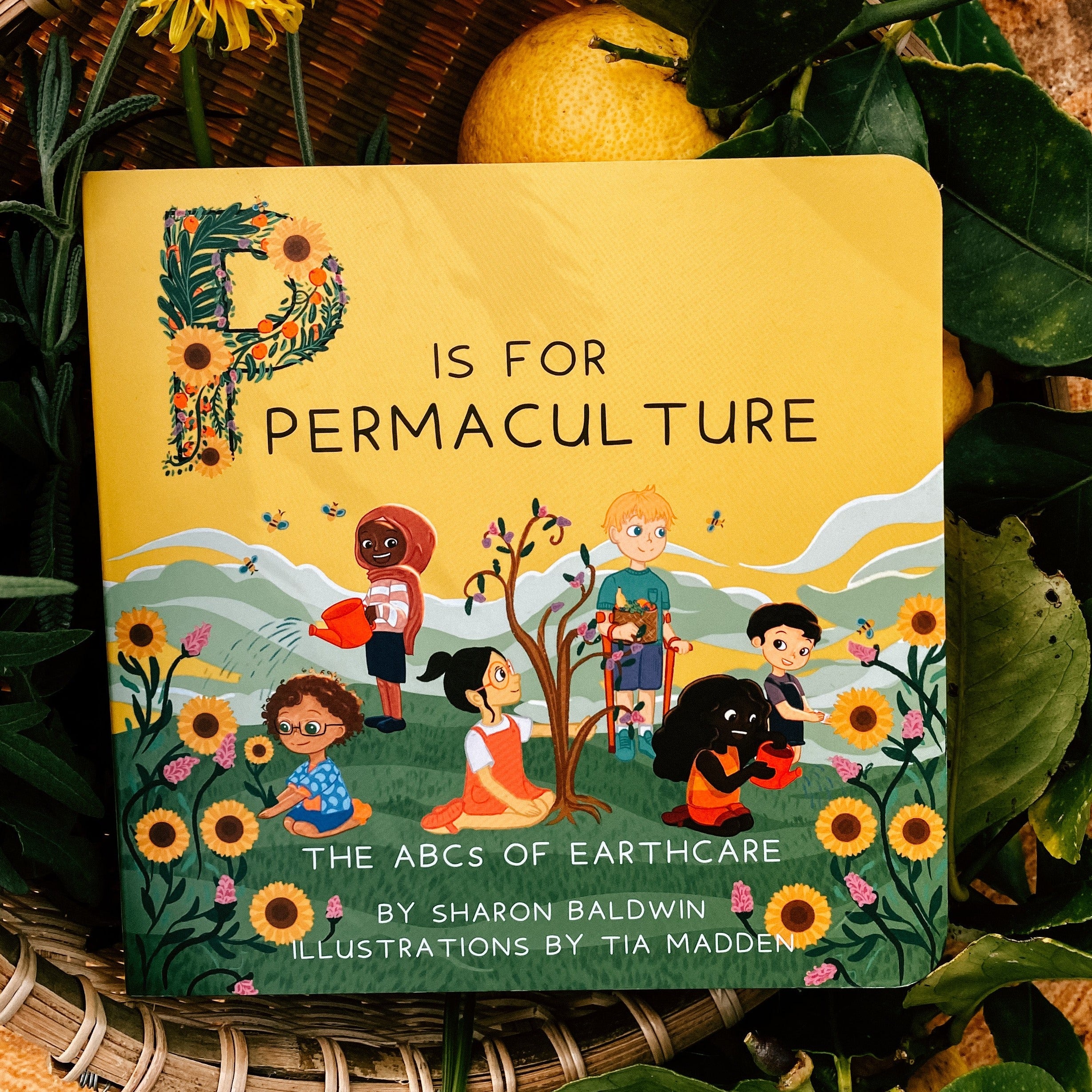 P is for Permaculture Board Book