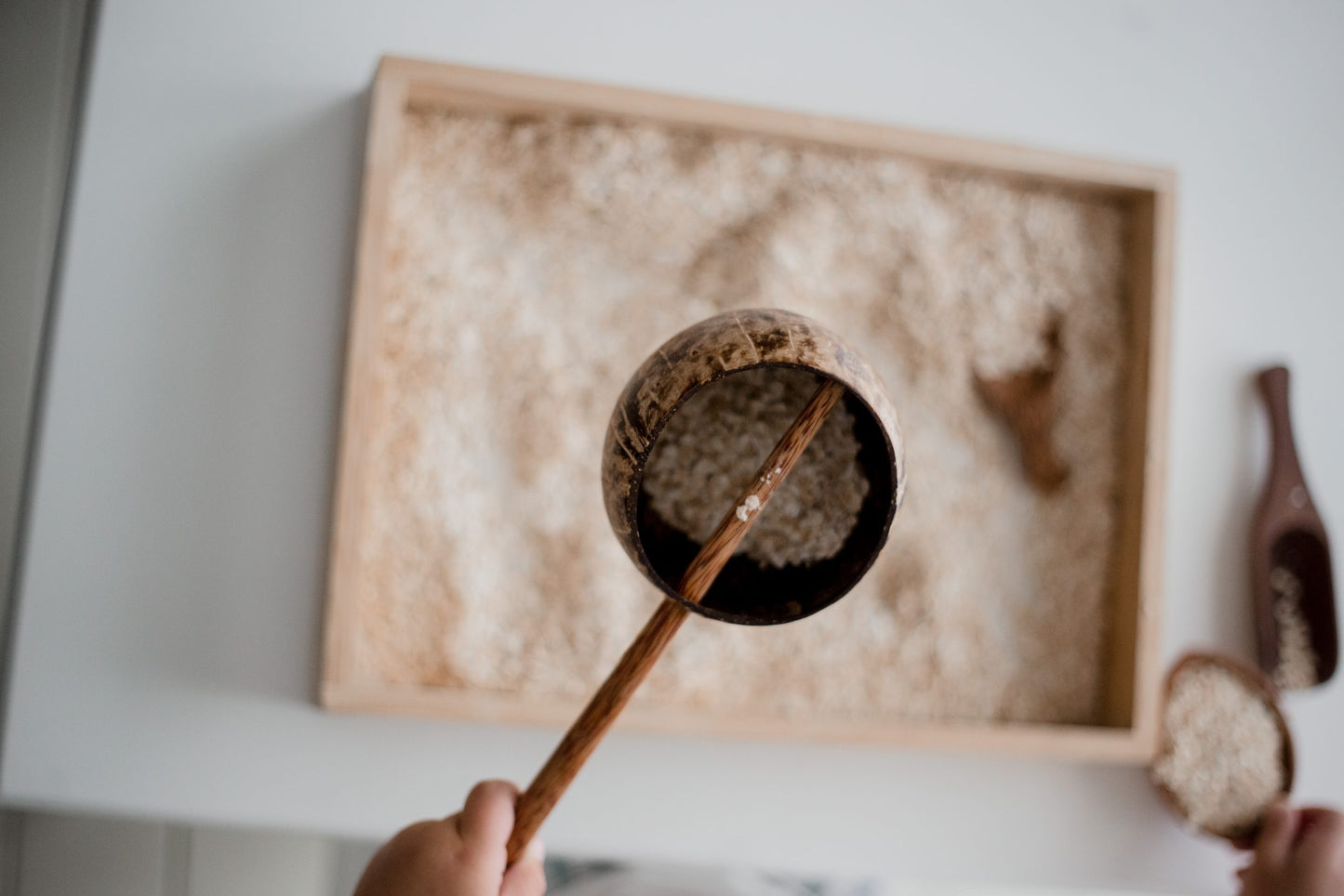 Mini Coconut Water Scoop