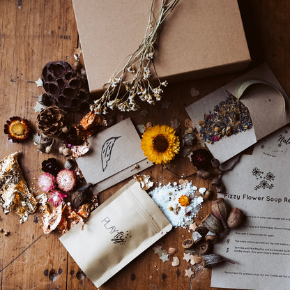 Nature Play Kit