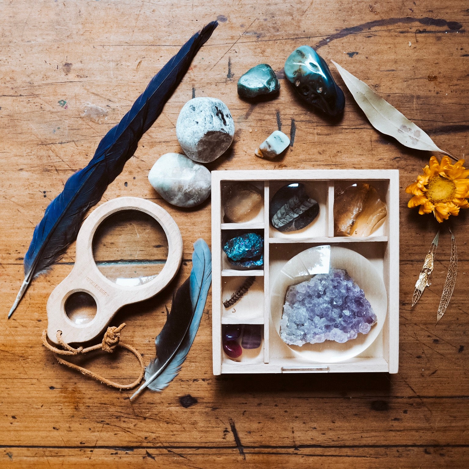 Magnifying Box | Natural Wooden Play Tools - Wild Mountain Child