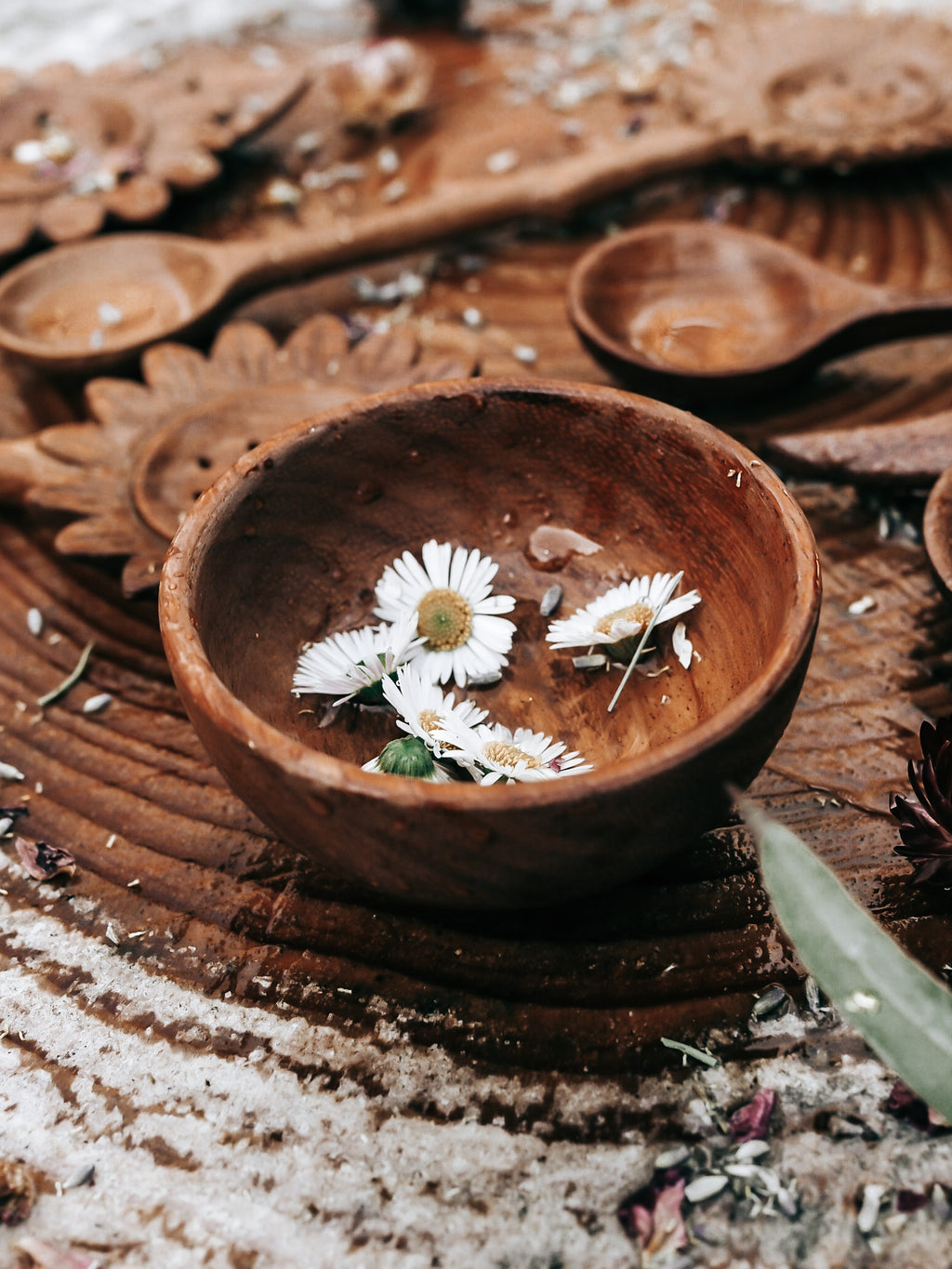 ** WHOLESALE ** PRE ORDER JUNE **TREASURE BOWL
