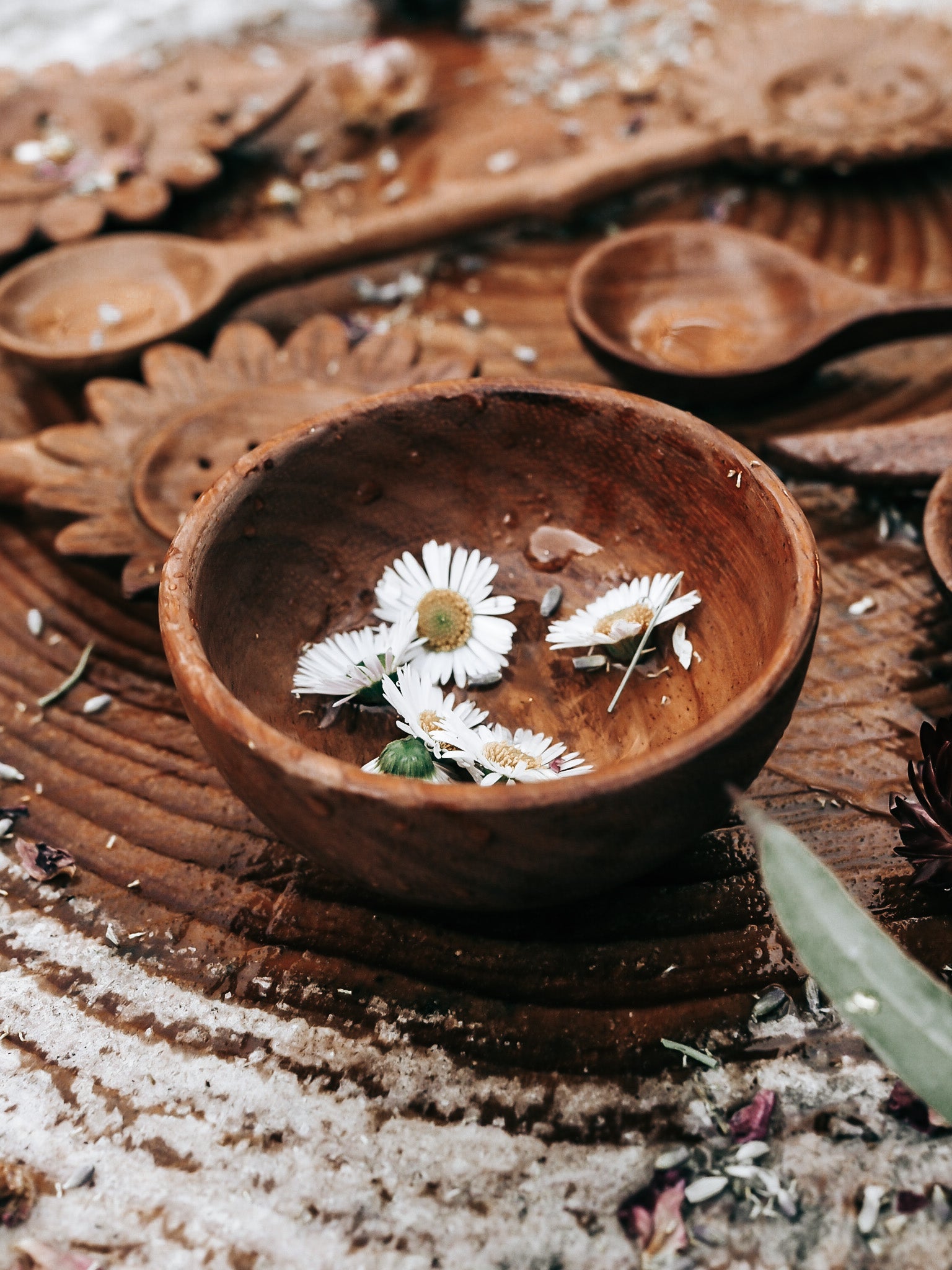 ** WHOLESALE ** PRE ORDER JUNE **TREASURE BOWL