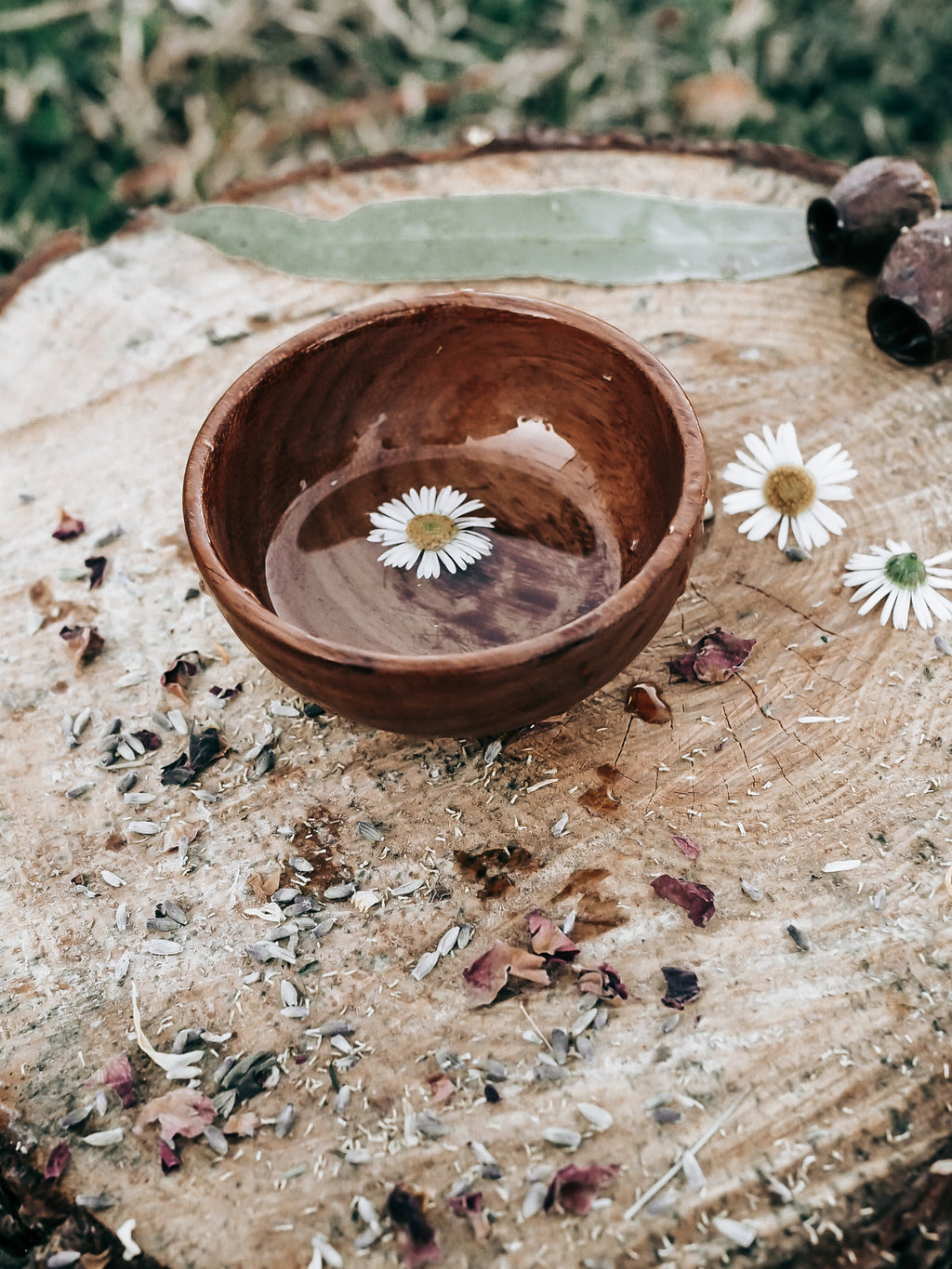 ** WHOLESALE ** PRE ORDER JUNE **TREASURE BOWL