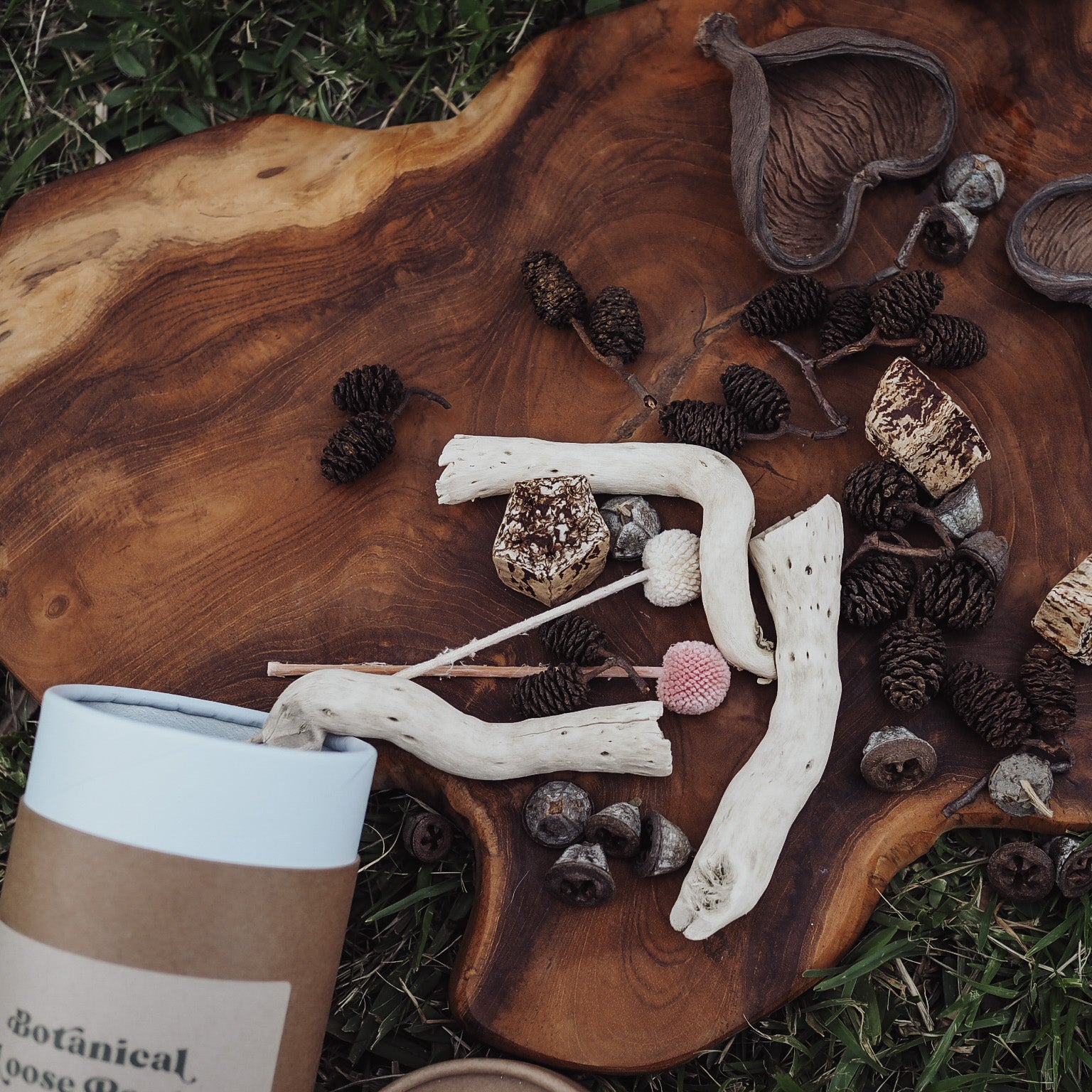 Botanical Loose Parts