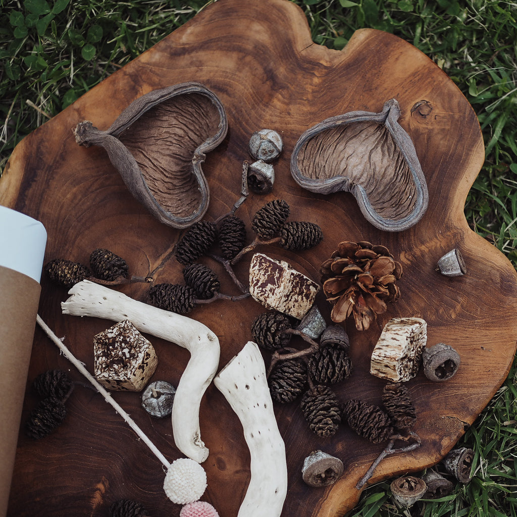 Botanical Loose Parts