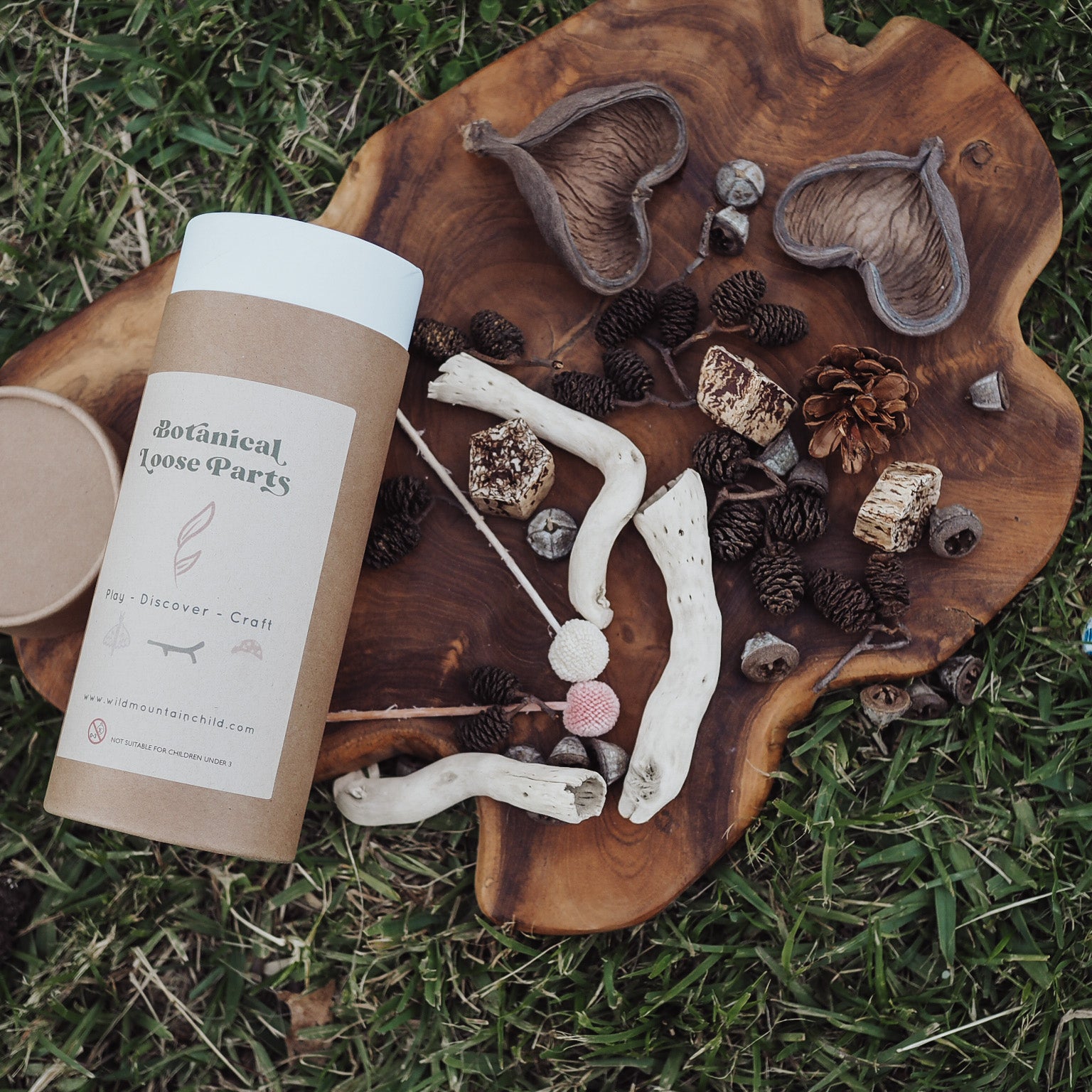 Botanical Loose Parts