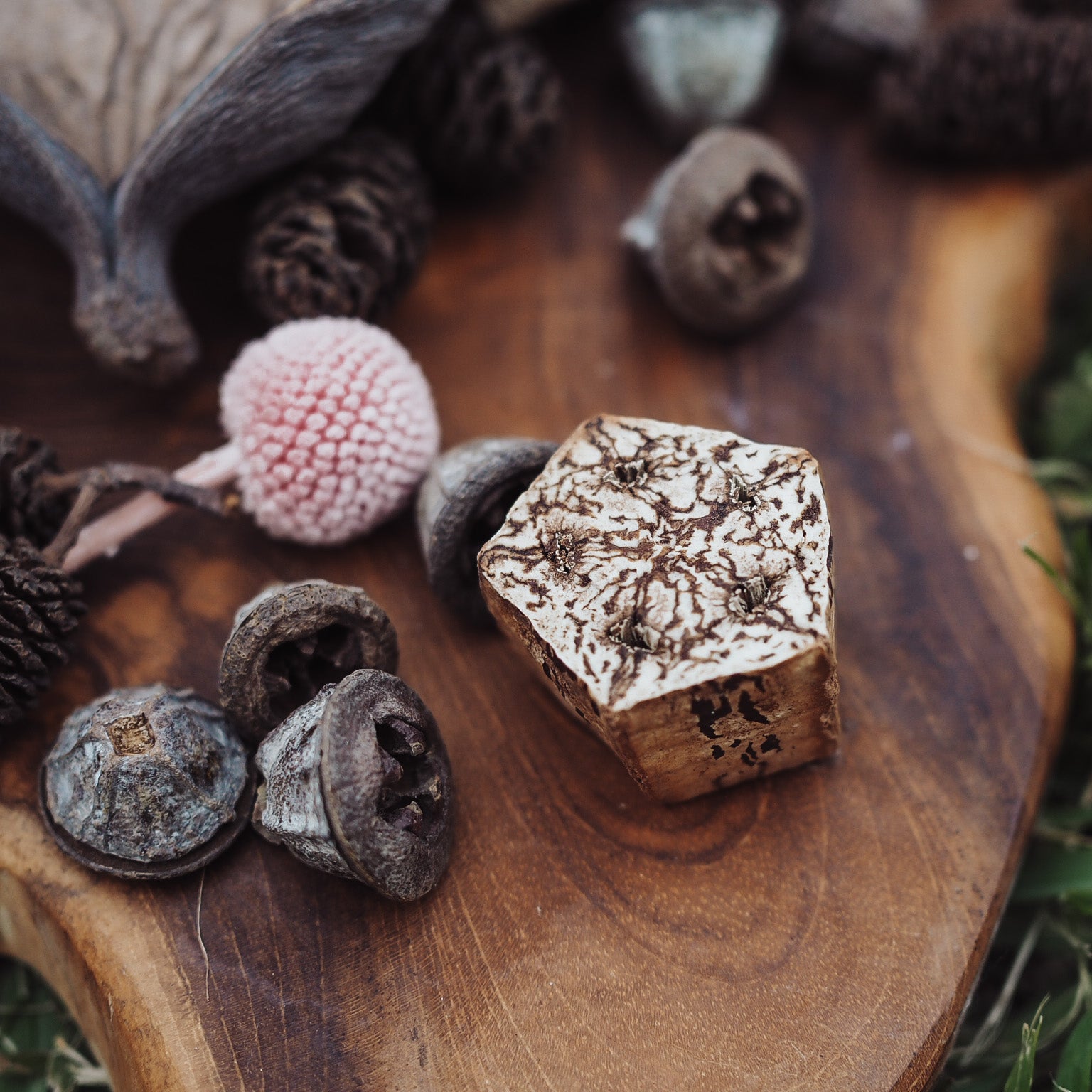 Botanical Loose Parts