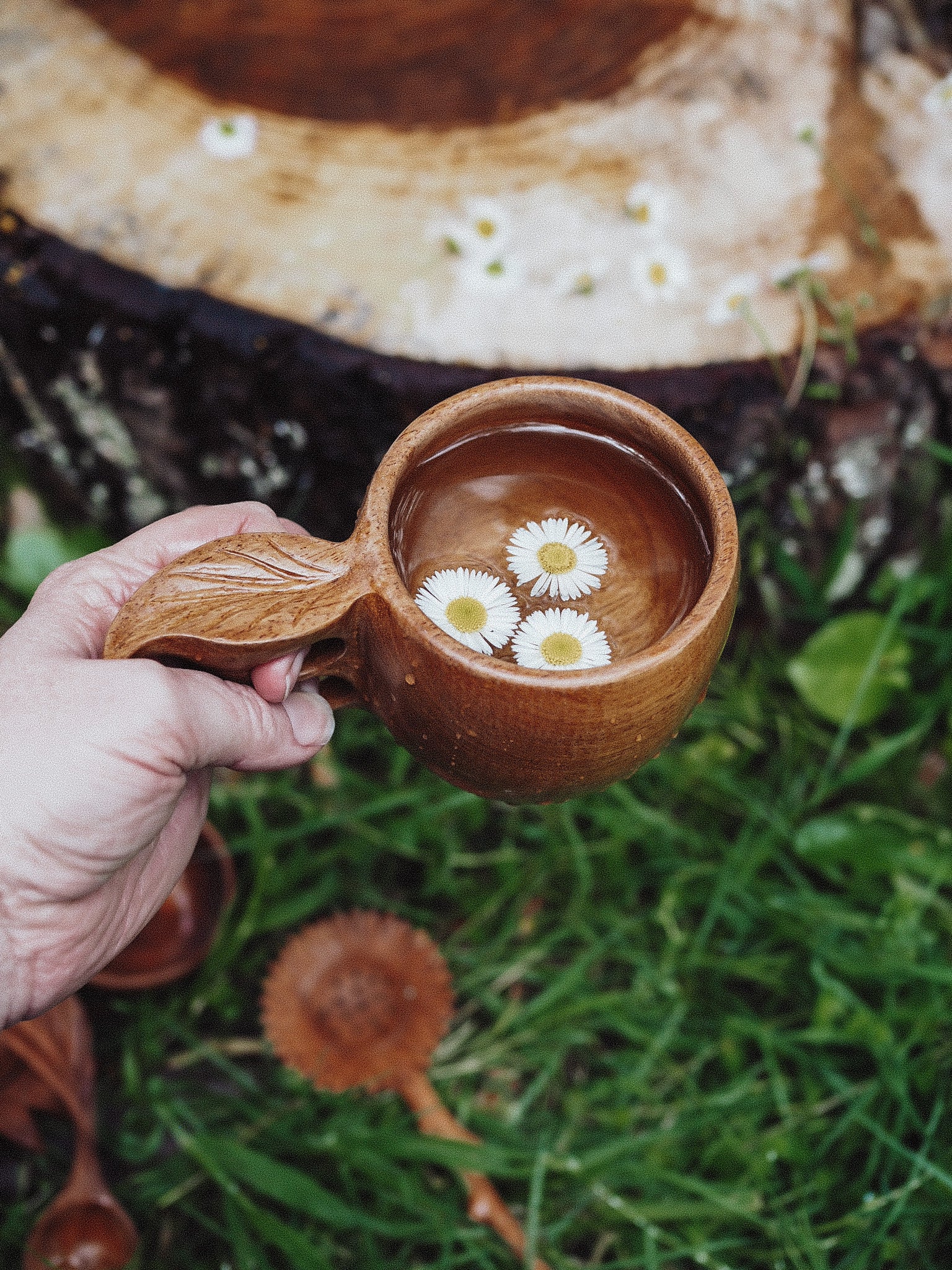 **  WHOLESALE ** PRE-ORDER JUNE 2026** LEAF CUP