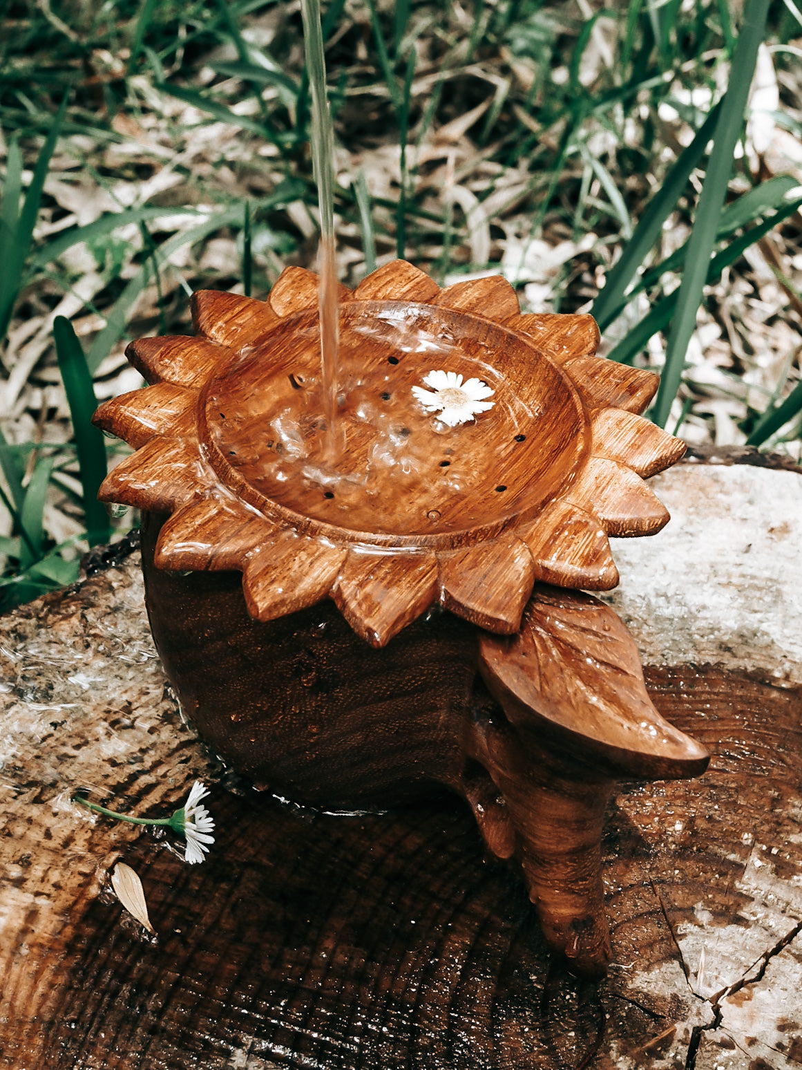 ** WHOLESALE **  SUN STRAINER