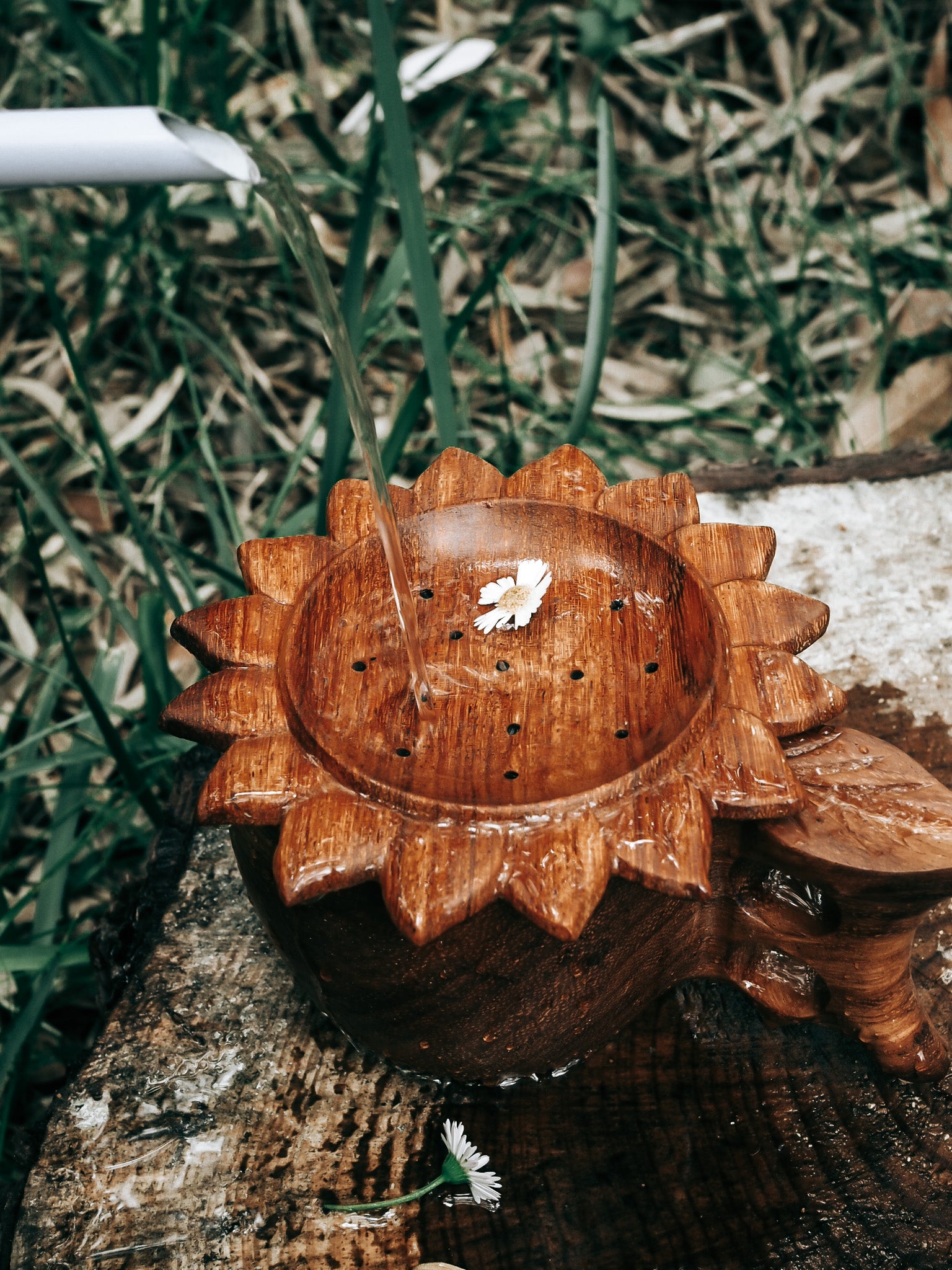 ** WHOLESALE  ** PRE-ORDER JUNE 2026** SUN STRAINER
