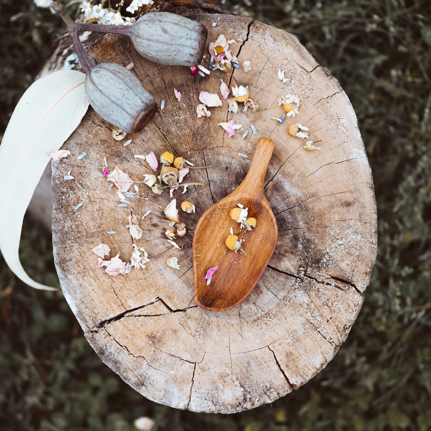 Handcrafted Leaf Scoop | Natural Play Tools - Wild Mountain Child