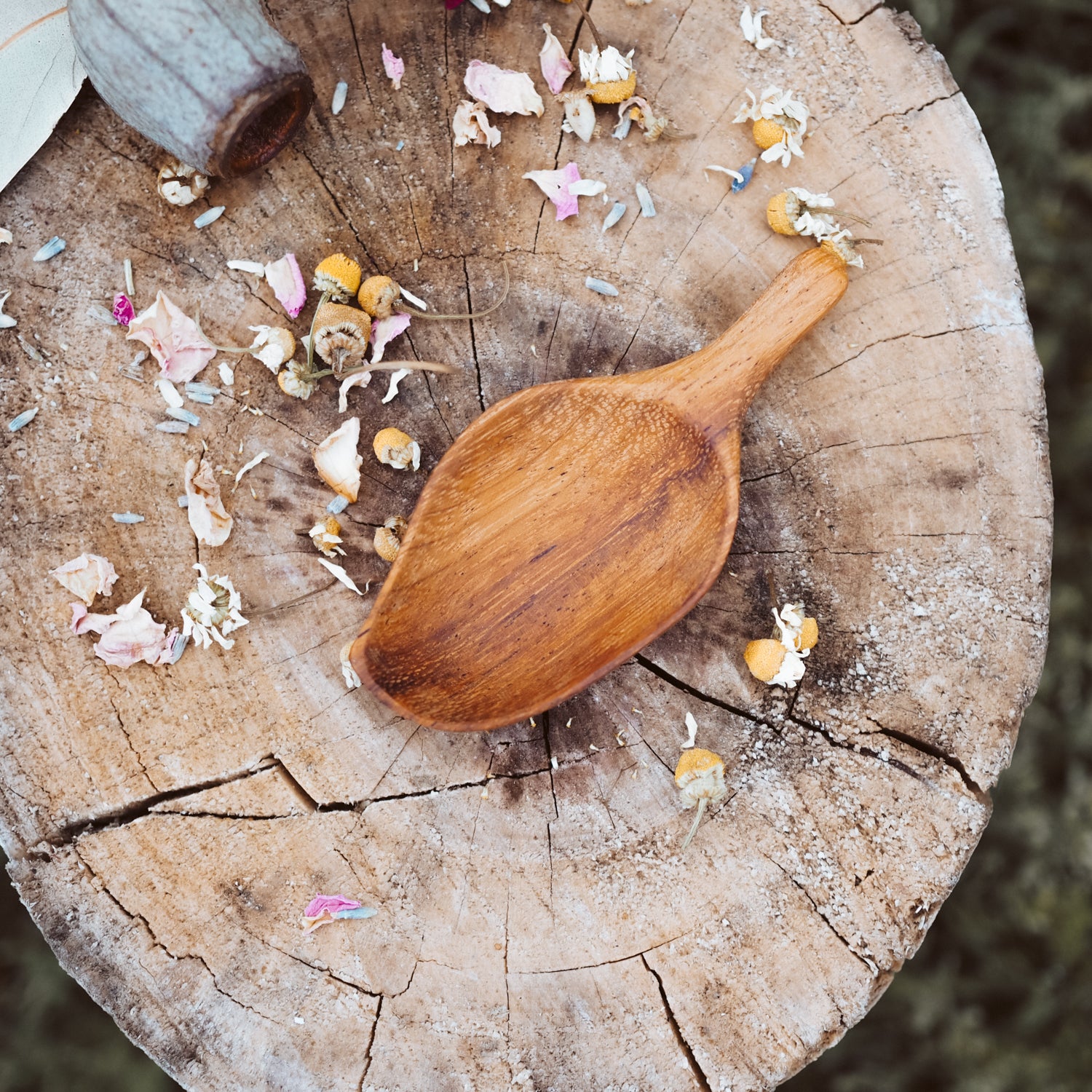 Handcrafted Leaf Scoop | Natural Play Tools - Wild Mountain Child