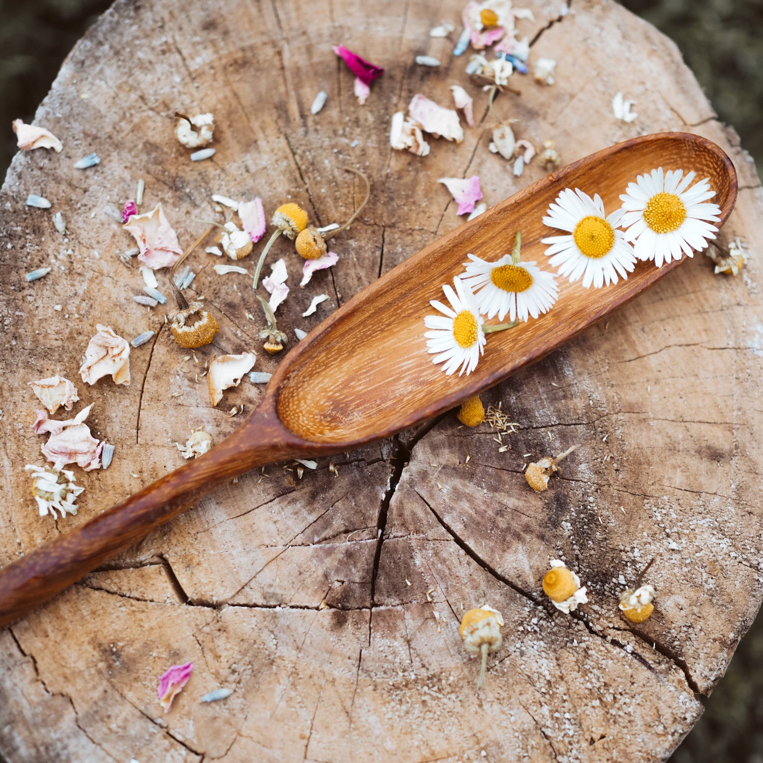 Handcrafted Paddle Spoon | Natural Play Tools - Wild Mountain Child