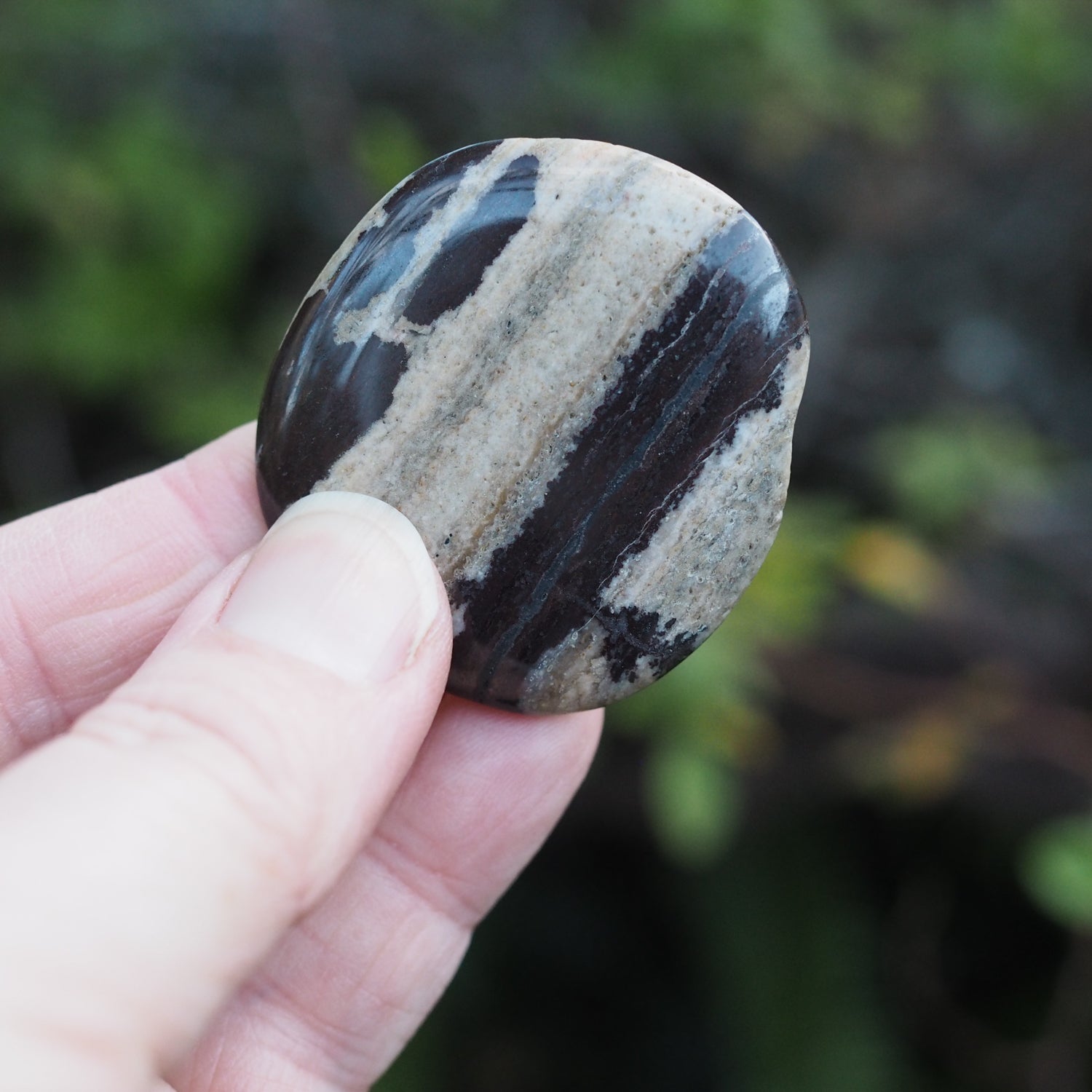 Nguni Jasper Flat Palm Stone