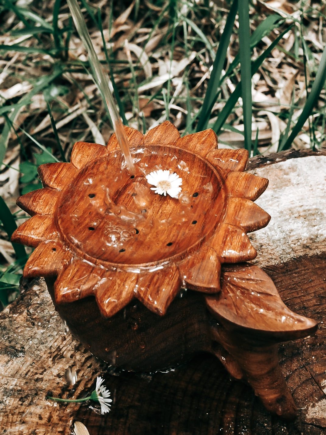 SUN STRAINER